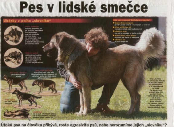 bylo v Lidových novinách článek Lidové noviny