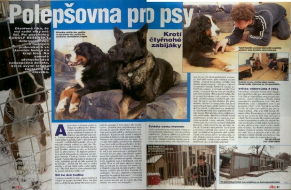 V časopise Ring článek časopis Ring